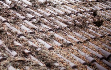 Croes Lan roof cleaning companies